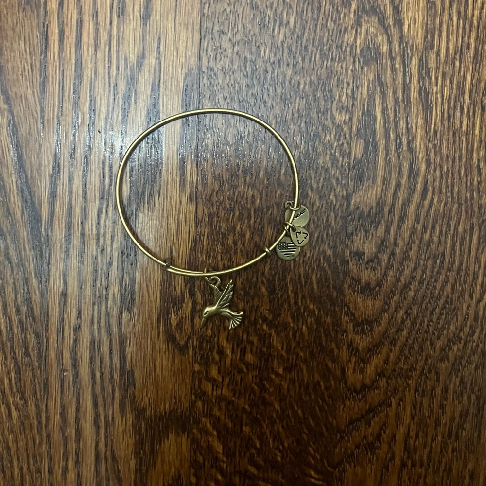 alex & ani hummingbird bracelet.